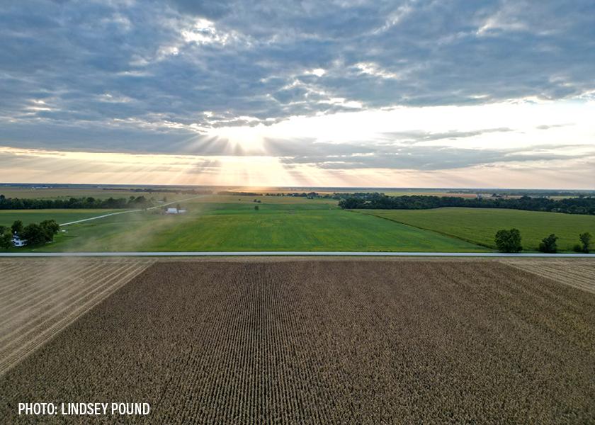 Farmland Values Remain Strong Expected To Stabilize In 2024 The Scoop   Aerial Farmland Farm Land At Harvest Fall Corn Soybeans   By Lindsey Pound4 